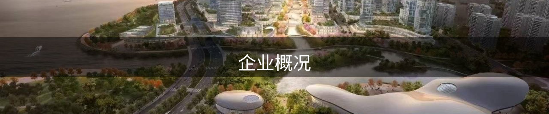企业概况